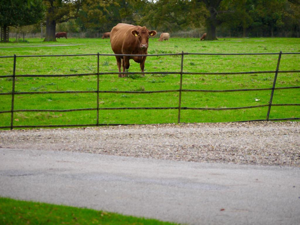 Houghton Hall Holiday Casa vacanze